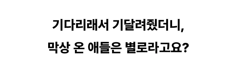 강남 타이밍 이미지6